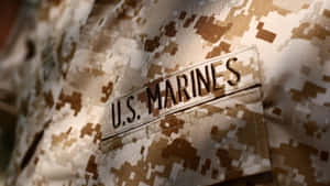 Soldiers Honoring Their Fallen Comrades Wallpaper