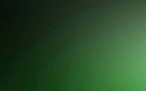 Solid Background Green Ombre Color Wallpaper