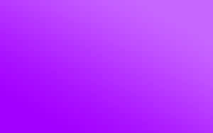 Solid Background Pretty Purple Ombre Wallpaper