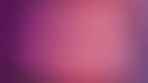 Solid Background Violet And Pink Gradient Wallpaper