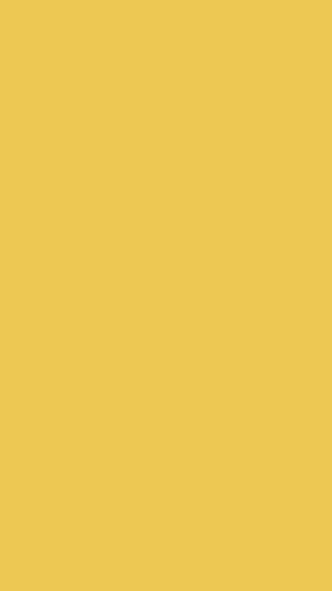 Solid Butter Yellow Wallpaper