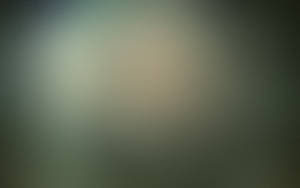 Solid Color Blurry Gray Wallpaper