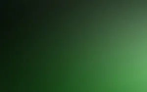 Solid Green For Every Setting Wallpaper