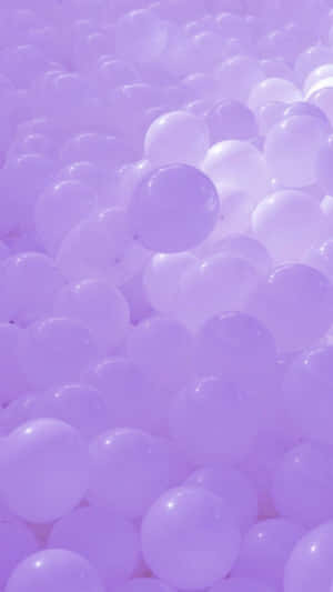 Solid Light Purple Balloons Together Wallpaper