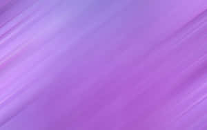 Solid Light Purple Color Background Wallpaper