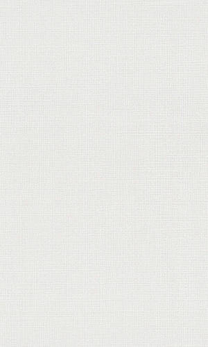 Solid Off White Texture Wallpaper