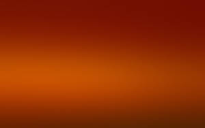 Solid Orange – An Eye-catching Color Option Wallpaper