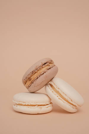 Solid Pastel Color Brown Macaroon Wallpaper