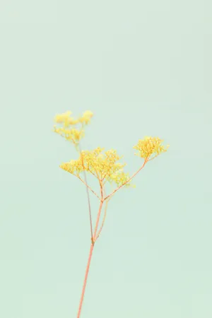 Solid Pastel Color Green Flower Wallpaper
