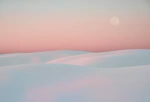 Solid Pastel Color White Desert Wallpaper