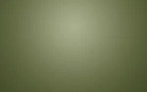 Solid Silver Color Wallpaper