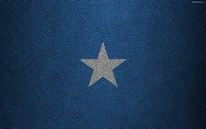 Somalia Flag Leather Effect Wallpaper