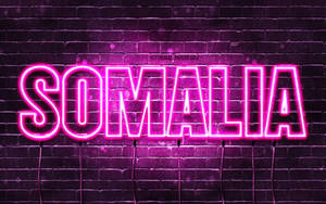 Somalia Pink Neon Wallpaper