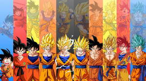 “son Goku Transforms Into A Super Sayin To Protect The Dragon Balls!” Wallpaper