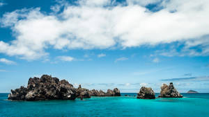 South America Galapagos Islands Wallpaper