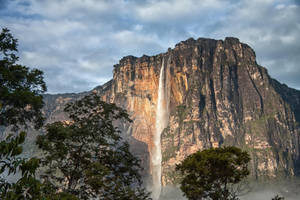 South America Venezuela Angel Falls Wallpaper