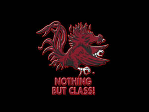 South Carolina Gamecocks Nothing But Class Wallpaper