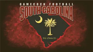 South Carolina Gamecocks We Own It Map Design Wallpaper