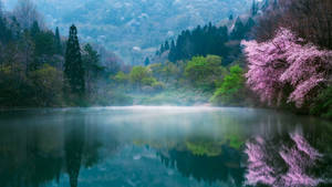 South Korea Hd Lake Landscape Wallpaper