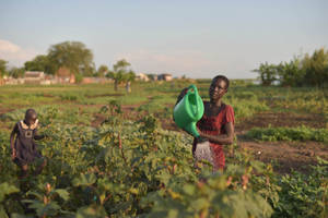 South Sudan Green Watering Can Wallpaper