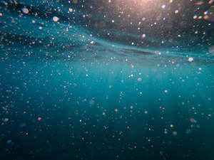 Sparkling Ocean Blue Waters Wallpaper