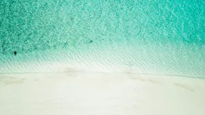 Sparkly Waters White Beach Wallpaper