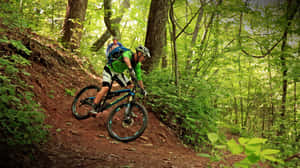 Specialized Mountain Bike Going Down Wallpaper