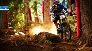 Specialized Mountain Bike In Road Bicycle Racing Wallpaper
