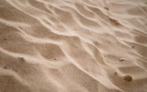 Specks On Sand Wallpaper