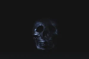 Spectacular Sugar Skull Art Design Wallpaper