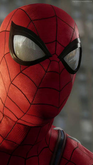 Spider-man Hd Wallpapers Hd Wallpapers Wallpaper