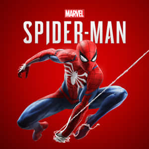 Spider Man Ps4 Logo Marvel Logo Mobile Wallpaper