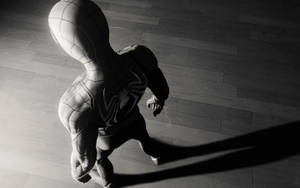 Spider Man White And Black Chiaroscuro Wallpaper