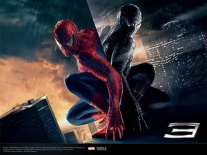 Spiderman Climbs The Wall Wallpaper