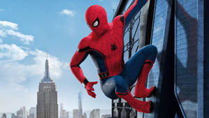 Spiderman Out On Patrol Wallpaper