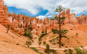 Spire Like Rock Formations Bryce Canyon National Park Wallpaper