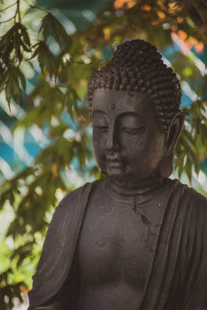 Spiritual Gautama Buddha Wallpaper