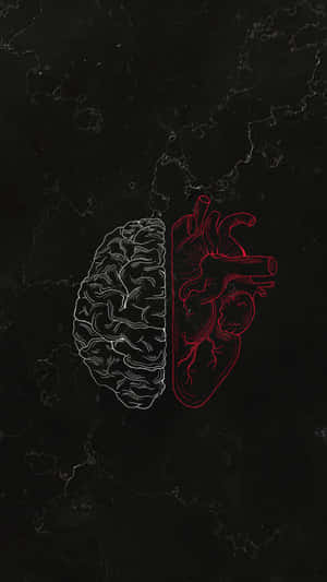 Split Brain And Heart Black Heart Iphone Wallpaper
