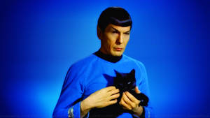 Spock With Black Cat Wallpaper