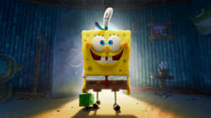 Spongebob Pfp Happy Wallpaper