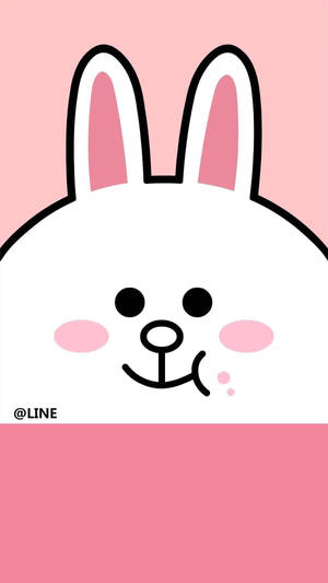 Spread Love With Cony And Her Pink Outfit! Wallpaper