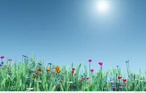 Spring Flowers Wallpaper