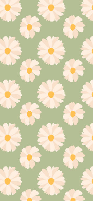 Spring Iphone Daisies Green Wallpaper