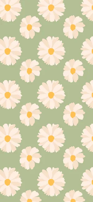 Spring Iphone Daisies Green Wallpaper