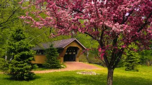 Spring Season Bridge Wallpaper