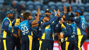 Sri Lanka Cricket Winning Team Wallpaper