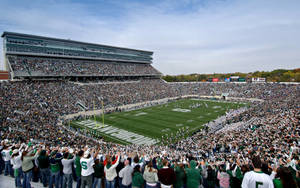 Stadium Michigan State University Wallpaper