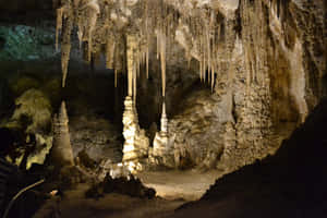 Stalagmites Stalactites Carlsbad Caverns National Park Wallpaper