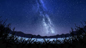 Star Sky With Grass Silhouette Wallpaper