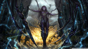 Starcraft Queen Of Blades Wallpaper